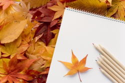 �̌��w�K�C���[�W