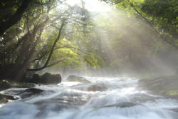 �̌��w�K�C���[�W