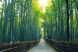 �̌��w�K�C���[�W