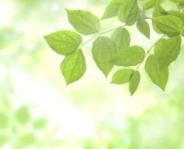 �̌��w�K�C���[�W